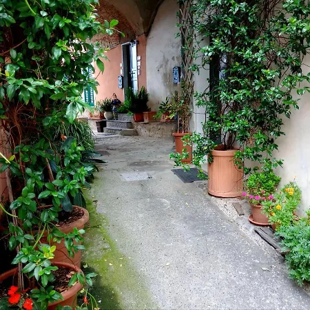 Il Nido Delle Rondini *