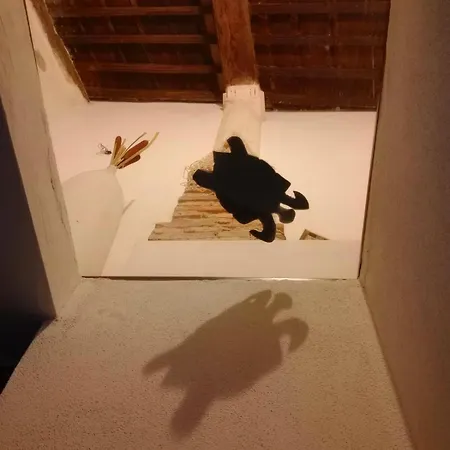 Il Nido Delle Rondini *