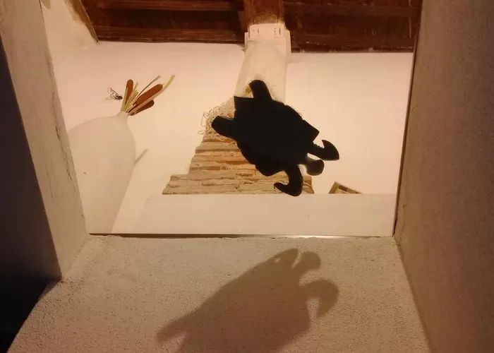 Il Nido Delle Rondini *